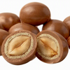 Bites Japonés Maní Crocante Chocolate de Leche y Blanco 100grs